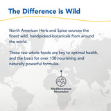 Ingrédients clés: origan sauvage, sauge, cumin et myrte dans Fung-E-Clenz.