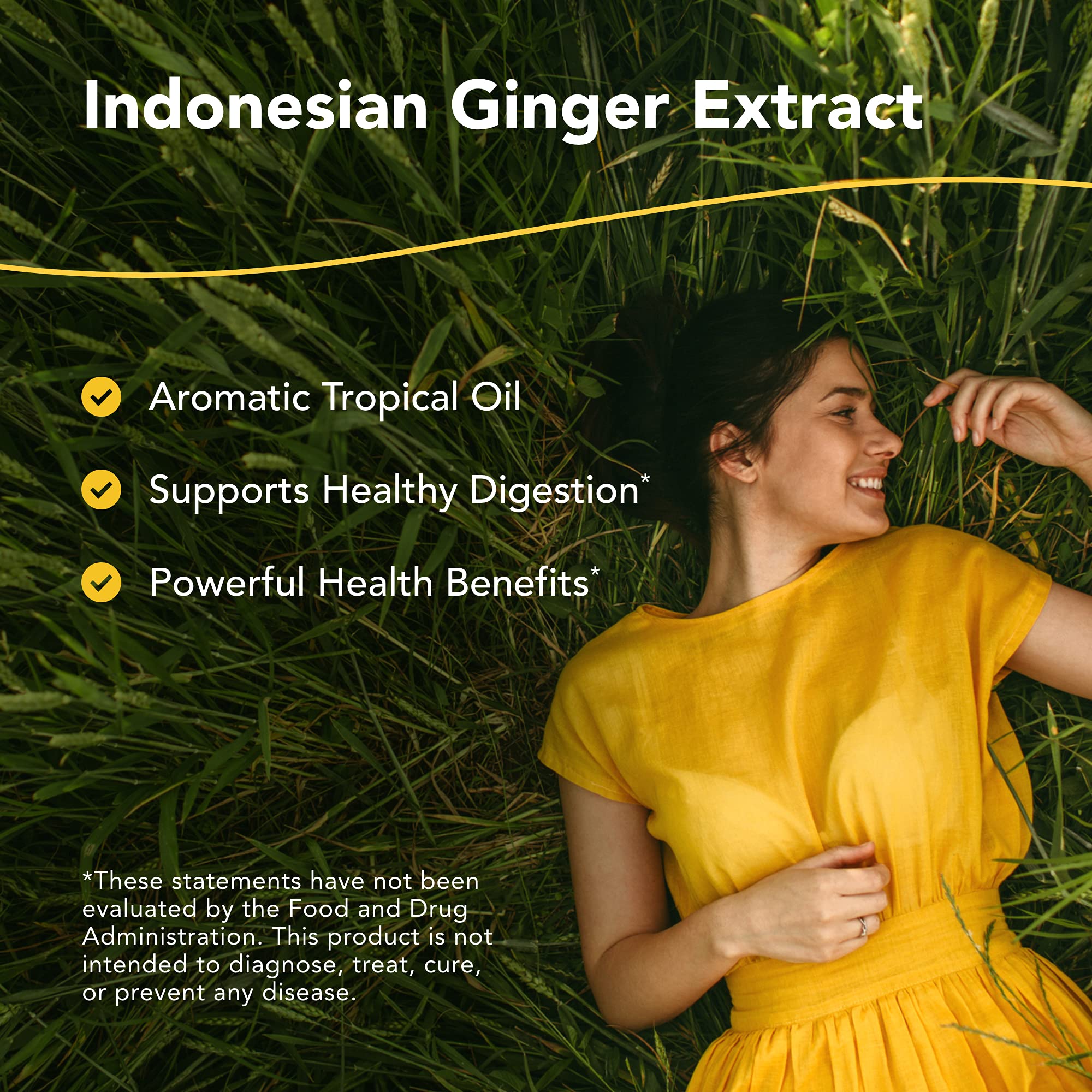 Gingerol de North American Herb & Spice, gouttes faciles à ajouter pour doser l’arôme.