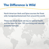 NORTH AMERICAN HERB & SPICE Herbal-zzZs: huile-de-nigelle et extraits végétaux.