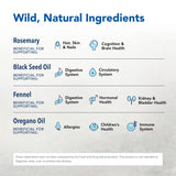 Composition naturelle de North American Herb & Spice: nigelle, cumin, fenouil, romarin et origan.