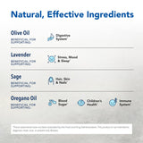 North American Herb & Spice kid-e-kare etiquette Non-GMO clairement affichée.