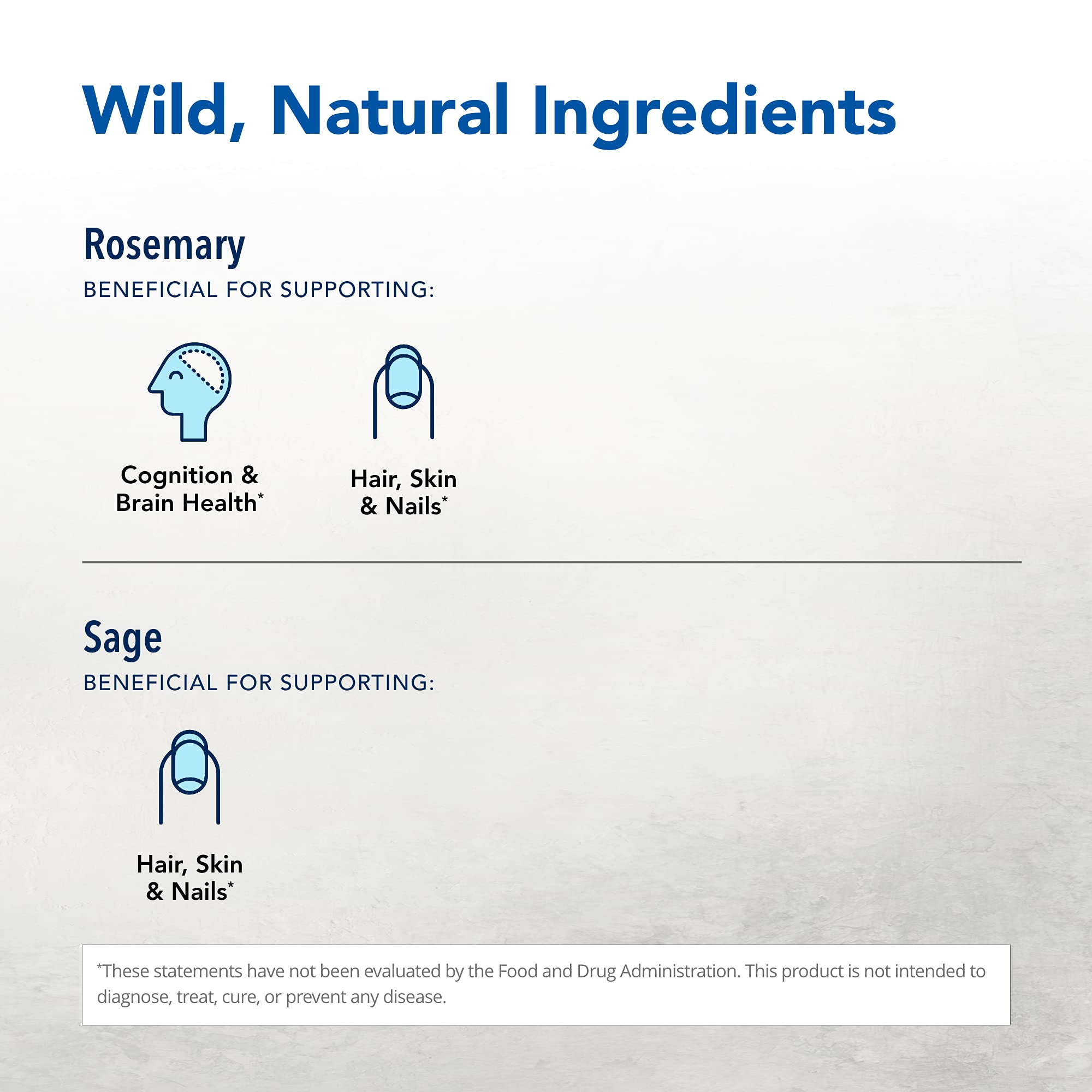 Neuroloft essences aromatiques sauvages, intensité sensorielle naturelle pour votre rituel.