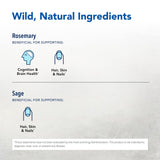Neuroloft essences aromatiques sauvages, intensité sensorielle naturelle pour votre rituel.