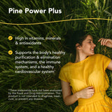 Pine Power Plus de North American Herb & Spice – flacon et soutien cardiovasculaire.