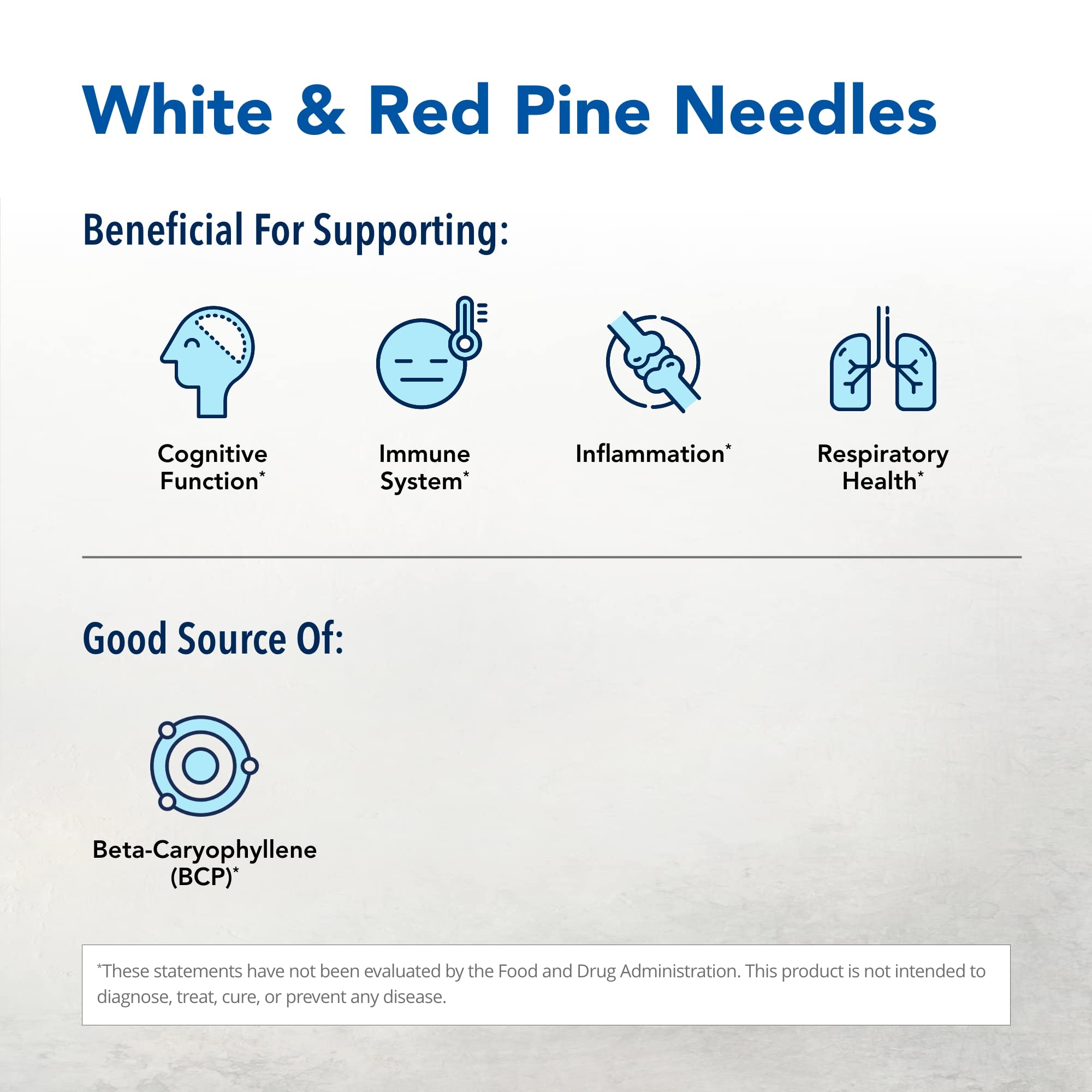 Pine Power Plus – étiquette avec aiguilles de pin et épinaux forestiers.