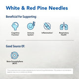 Pine Power Plus – étiquette avec aiguilles de pin et épinaux forestiers.