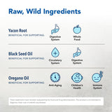 Racine de Yacon North American Herb & Spice, sirop pur