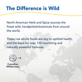 Utilisation adaptable: smoothies yaourt et lait avec Chaga Noir North American Herb & Spice
