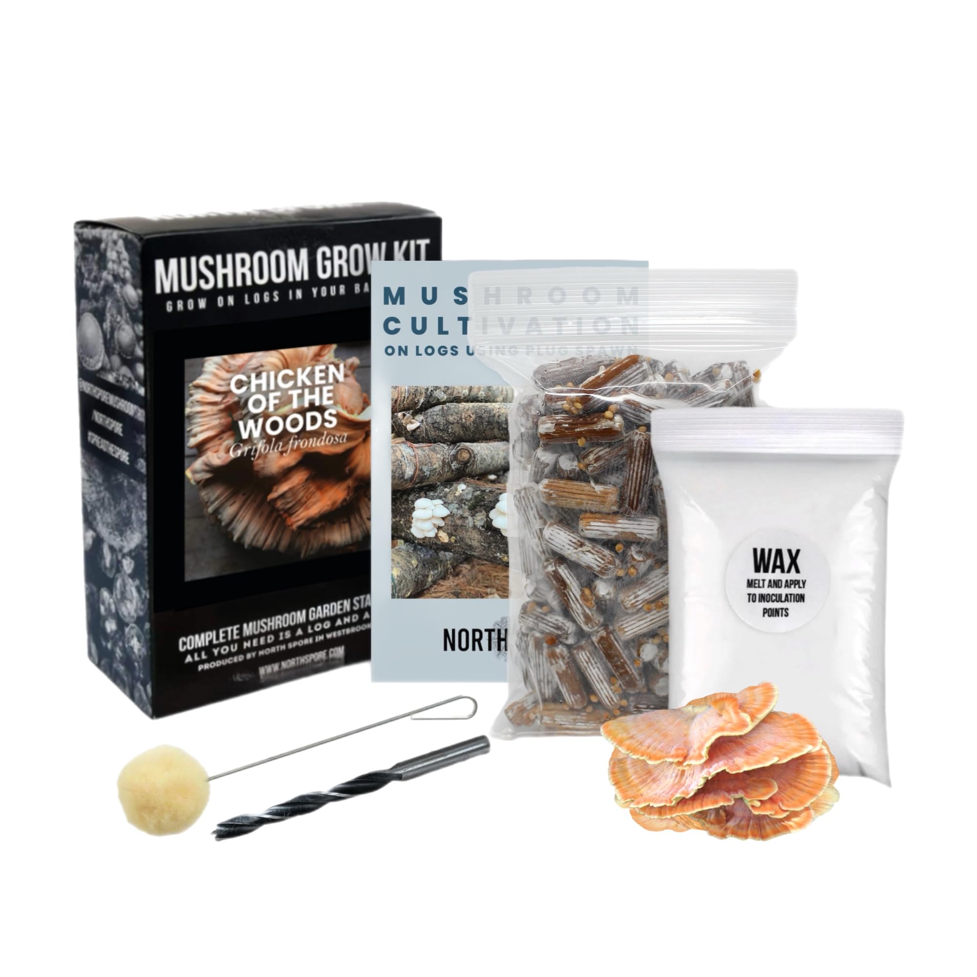 North Spore kit log champignon des bois : démarrage facile sur rondin