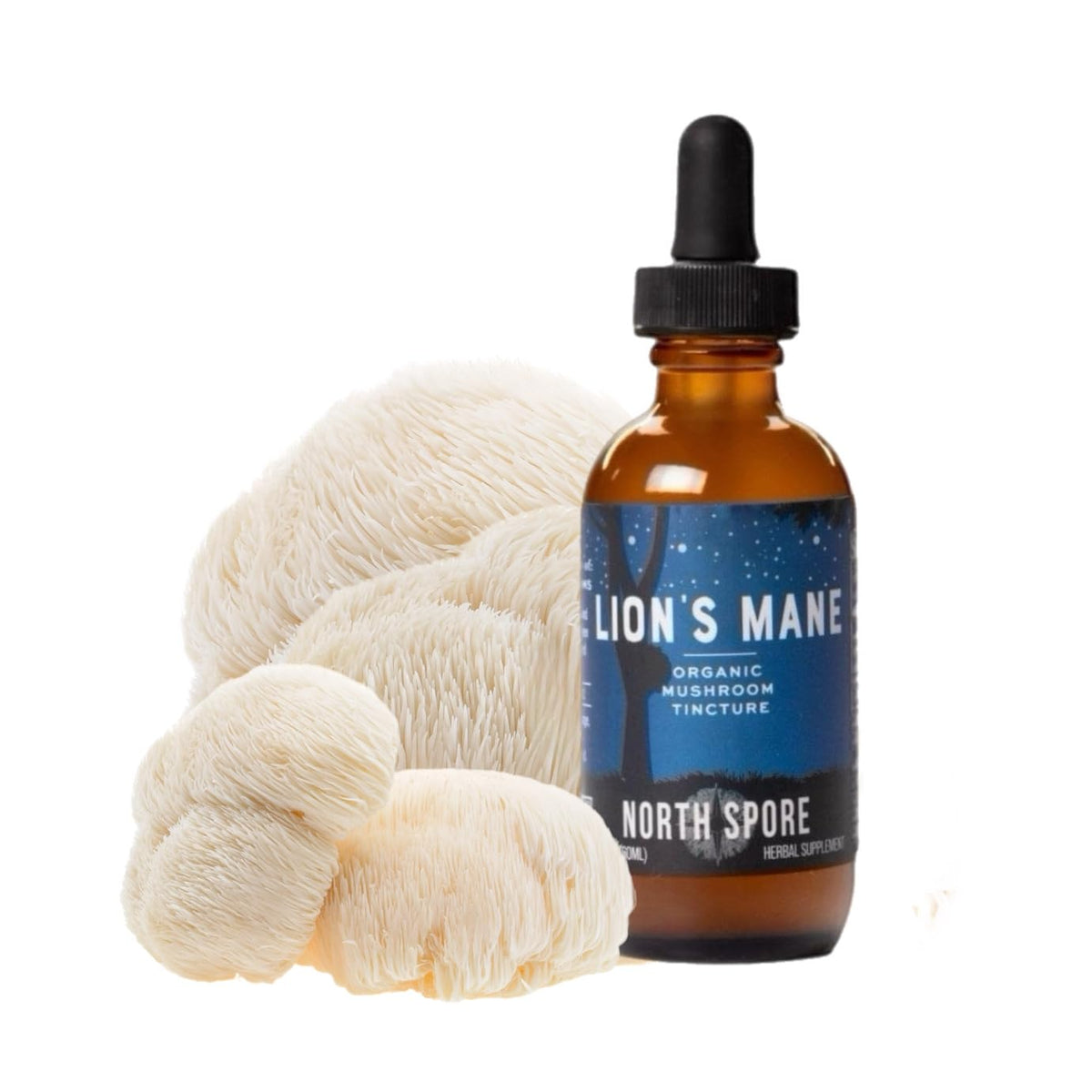 North Spore Teinture Crinière de Lion: bouteille avec pipette pour soutien potentiel à la concentration.