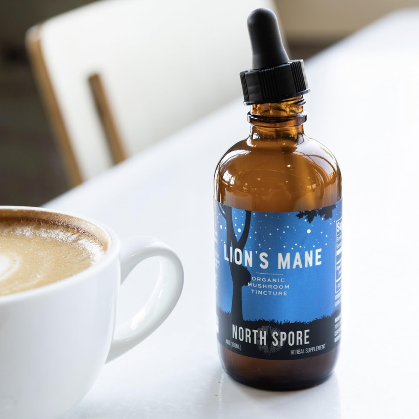 North Spore Teinture Crinière de Lion: gros plan sur le champignon fruiting.
