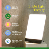 Northern Lights Boxelite, lumière sans ultraviolets diffuse pour un éclairage homogène.