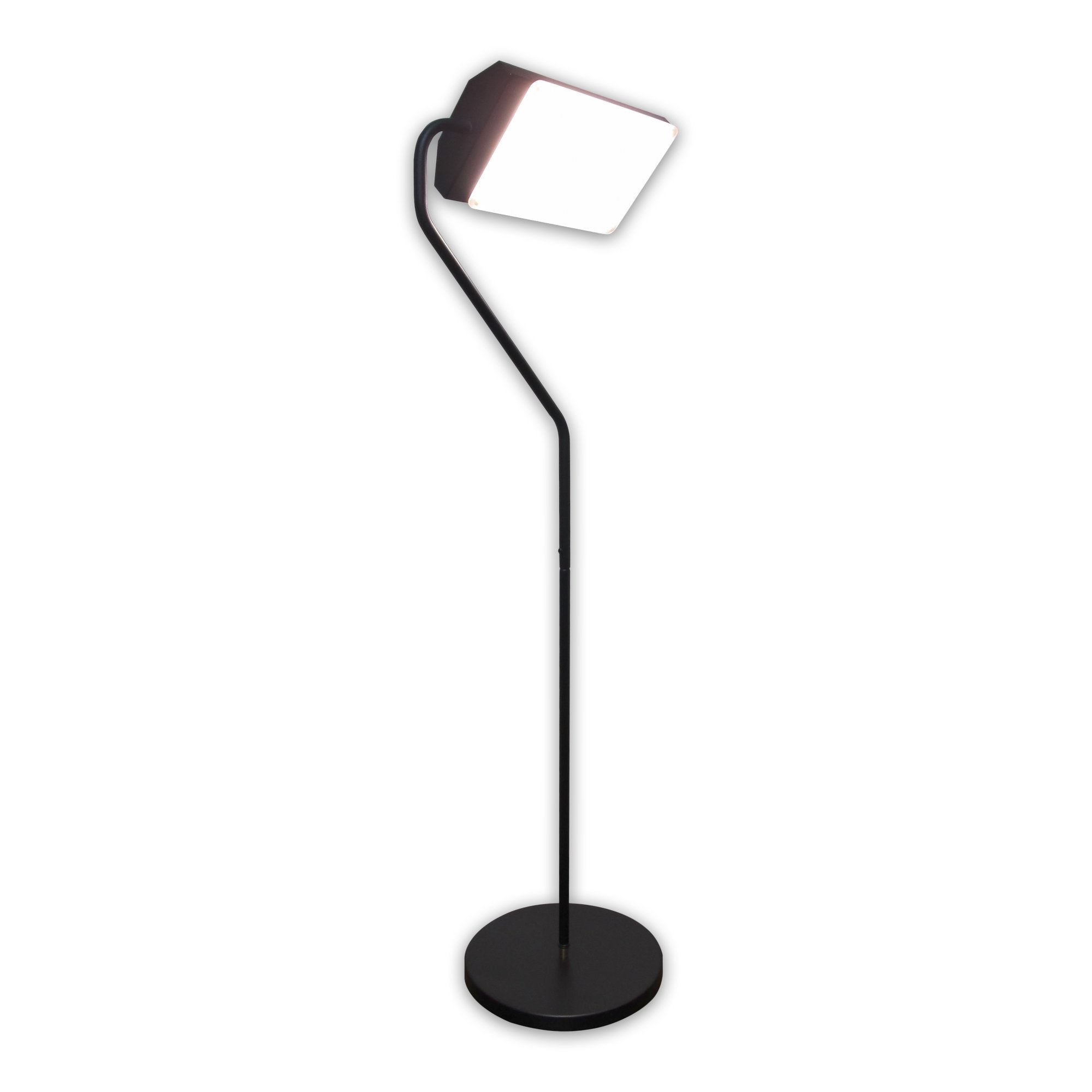 NORTHERN LIGHTS Flamingo sur pied, lampe thérapeutique 10000 lux pour domicile.