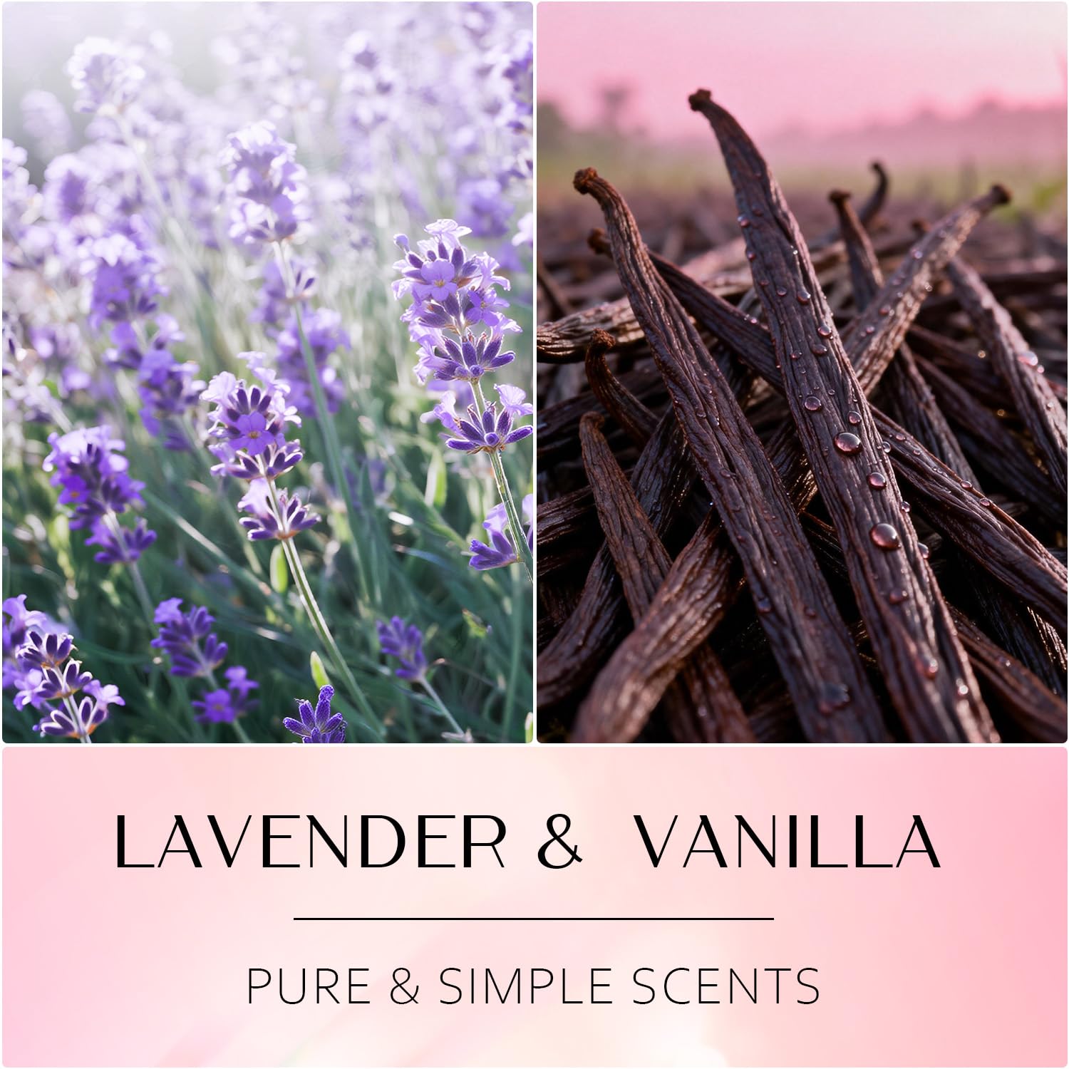 NORVENCE bougie-soja-rose: combustion propre et parfum durable.