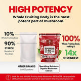 Nourishing Nutrients: infusion-cafe-tea-poudre-champignons, parfait pour café ou thé du matin.