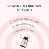 Nova Spermidine: bouteille blanche, présentation pratique pour une routine bien-être quotidienne.