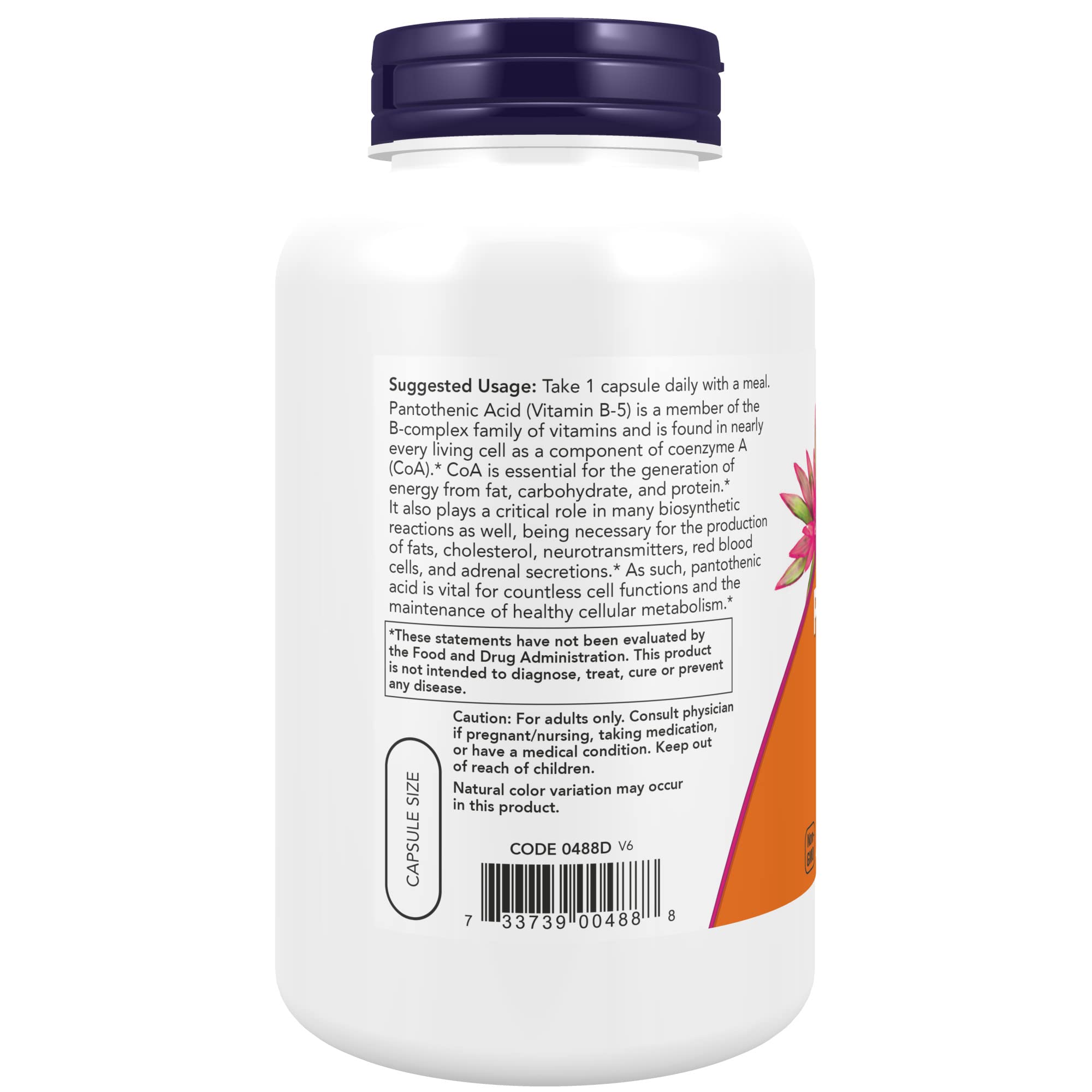 NOW Foods acide pantothenique 500 mg etiquette, traçabilité GMP et qualité assurée.