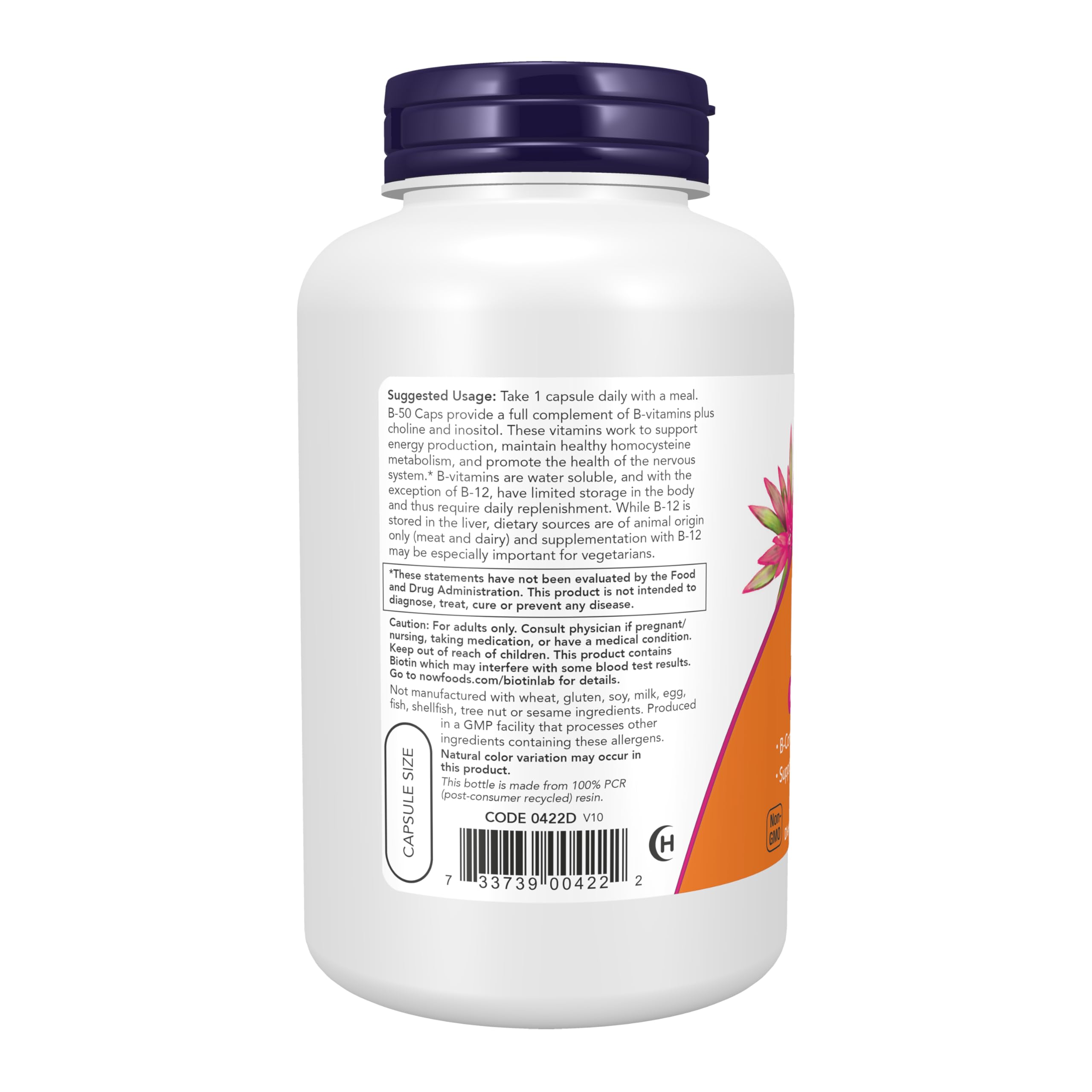 NOW Foods B-50: étiquette claire détaillant les vitamines B et la choline.