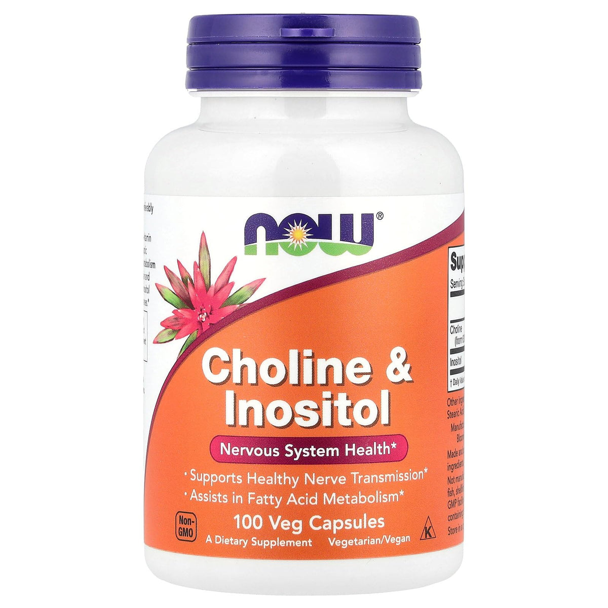 NOW Foods Choline et Inositol 500 mg – bouteille, soutien potentiel du système nerveux.