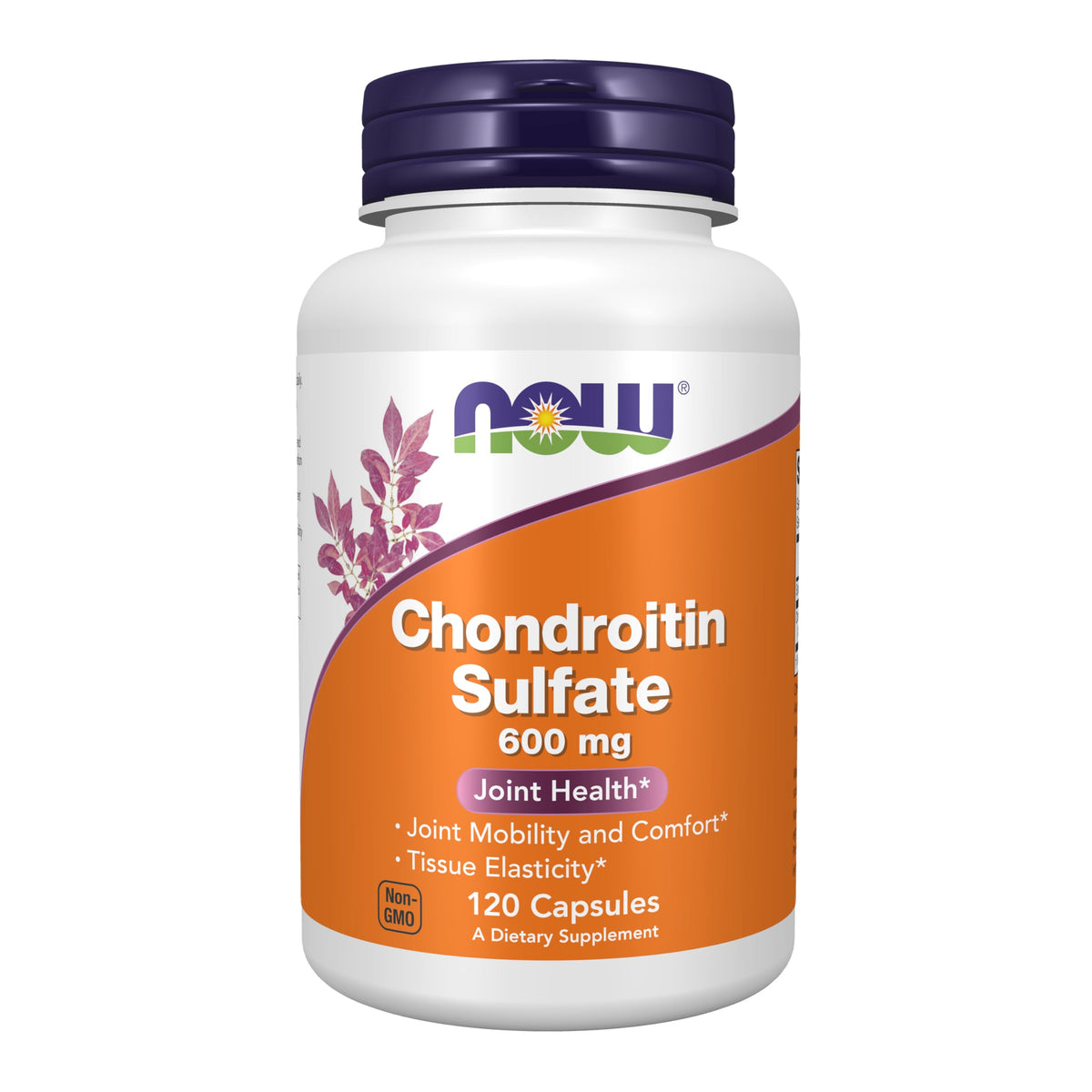 NOW Foods Chondroitin Sulfate 600 mg, bouteille frontale peut soutenir la mobilité articulaire au quotidien