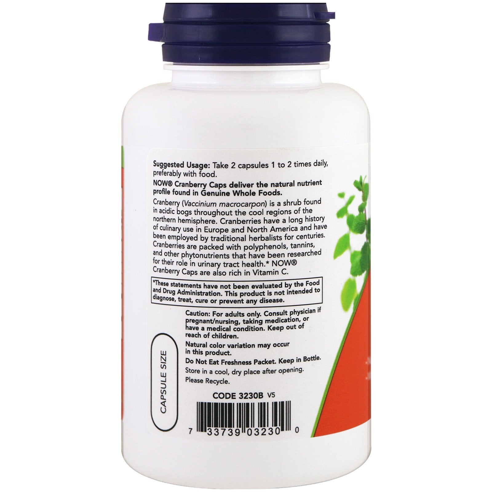 NOW Foods Cranberry Concentrate : emballage 2 flacons, idéal pour une utilisation régulière.