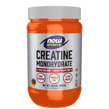 NOW Foods Créatine Monohydrate – poudre fine prête à être ajoutée au shake