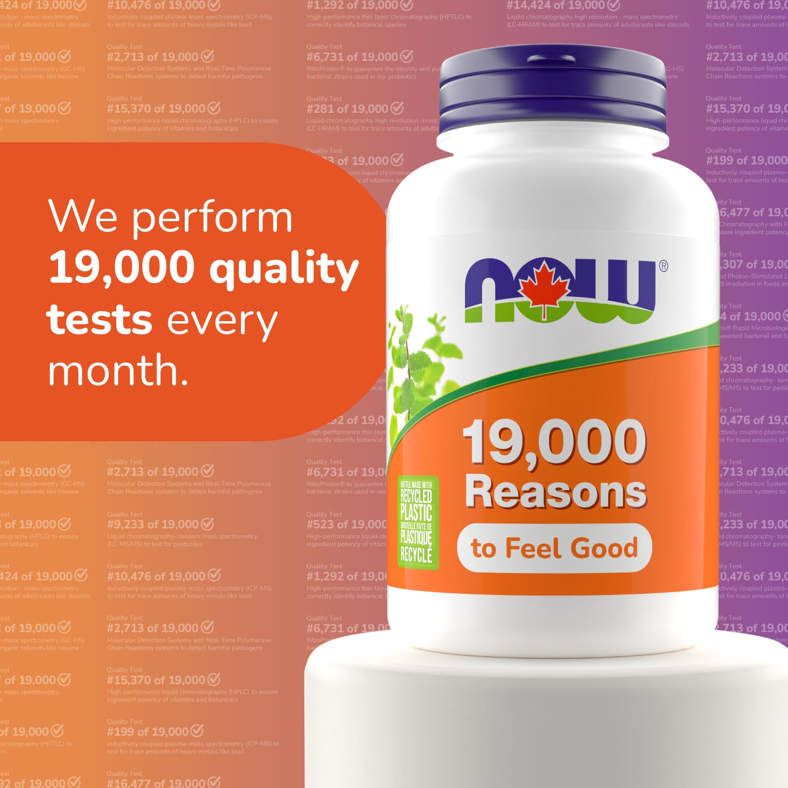 Étiquette claire NOW Foods Ginkgo biloba 120 mg, informations utiles sur le produit.