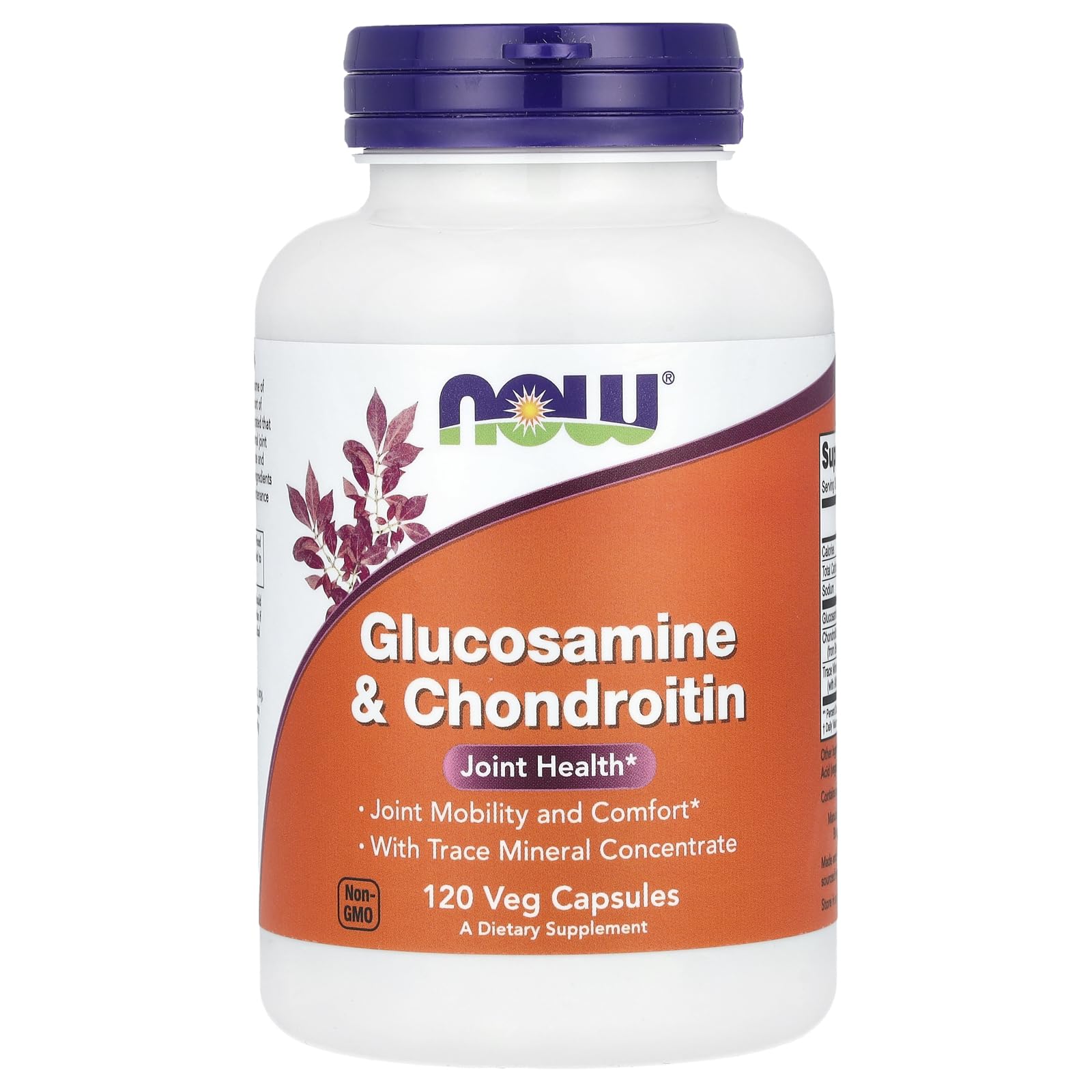 NOW Foods Glucosamine et Chondroïtine, bouteille, soutien potentiel des articulations