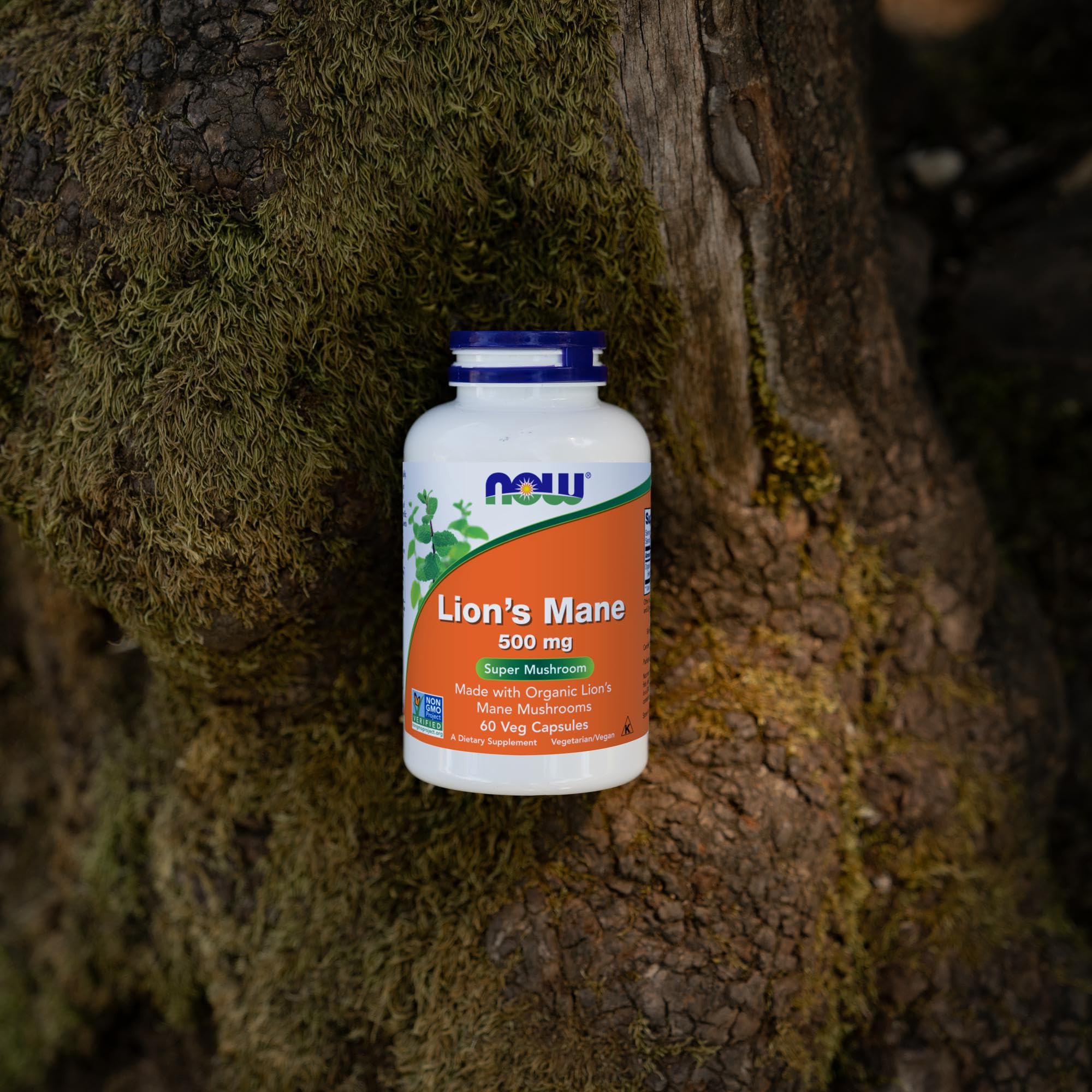 NOW Foods Lion's Mane - fabrication dans une usine familiale américaine.
