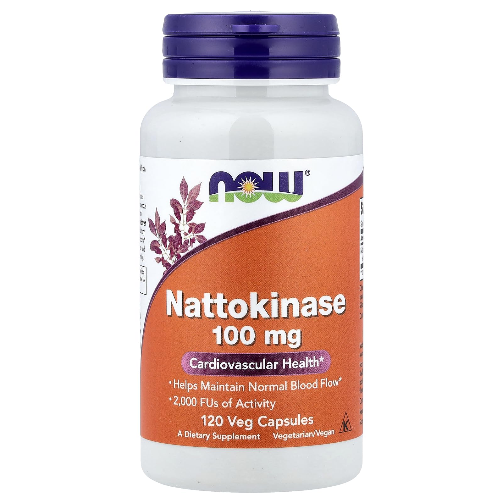 NOW Foods Nattokinase 100 mg bouteille, soutien potentiel d'une routine bien-être