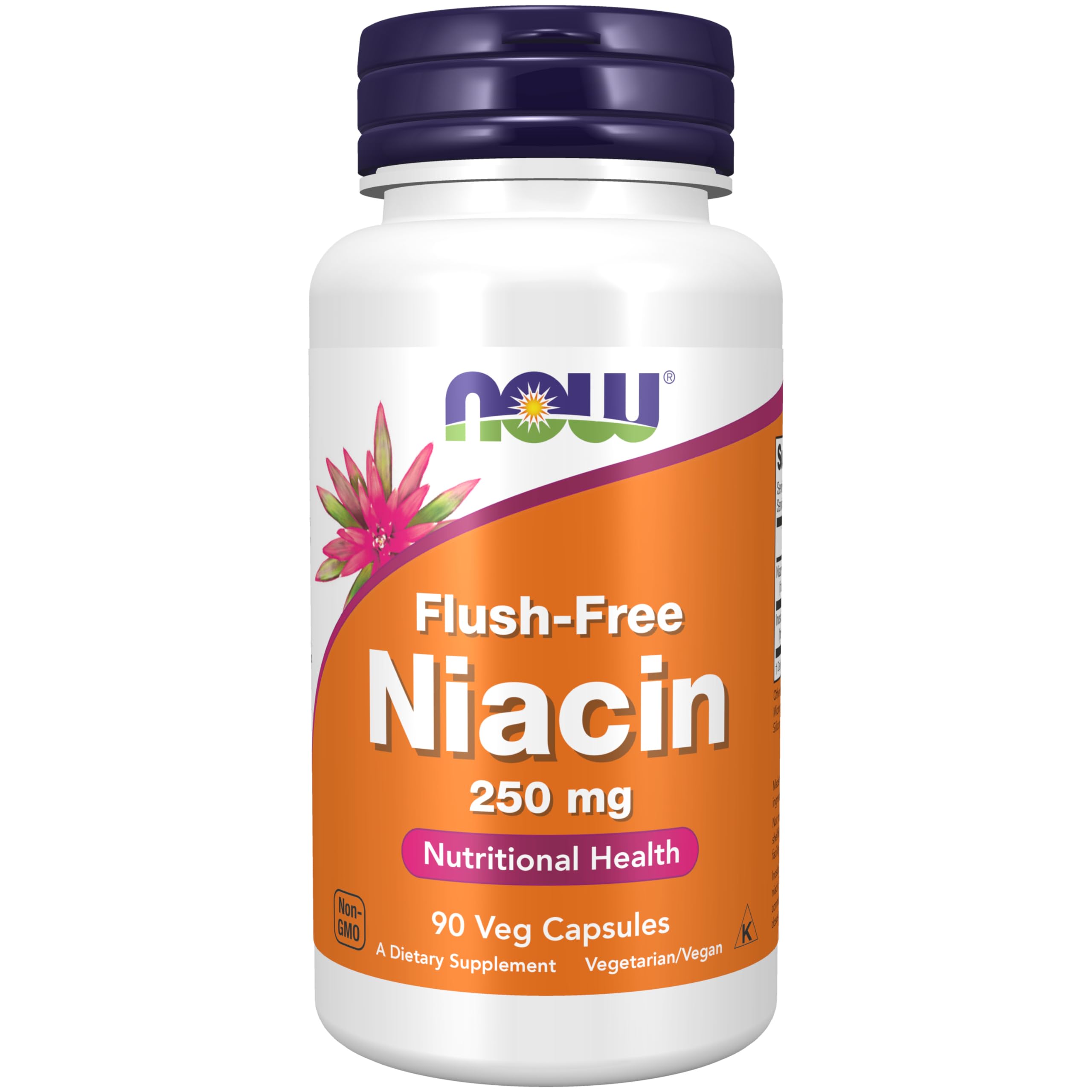Flacon NOW Foods Niacine B-3 250 mg avec libération progressive sans flush.