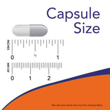 NOW Foods Probiotic-10, capsules-dosage apercue, peut accompagner votre routine digestive