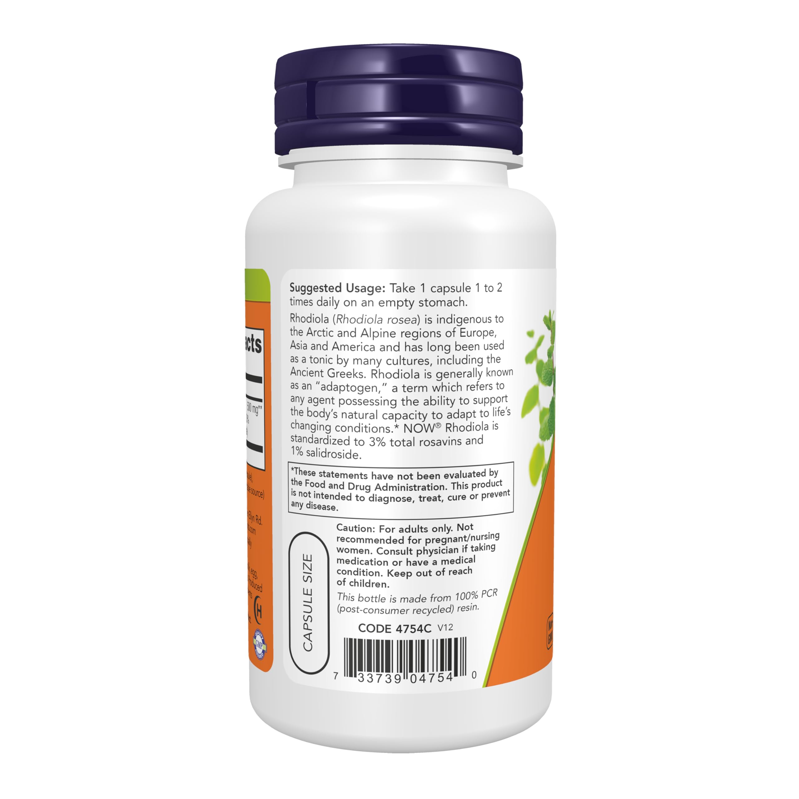NOW Foods Rhodiola Rosea, capsules pratiques, aide à la concentration et endurance.