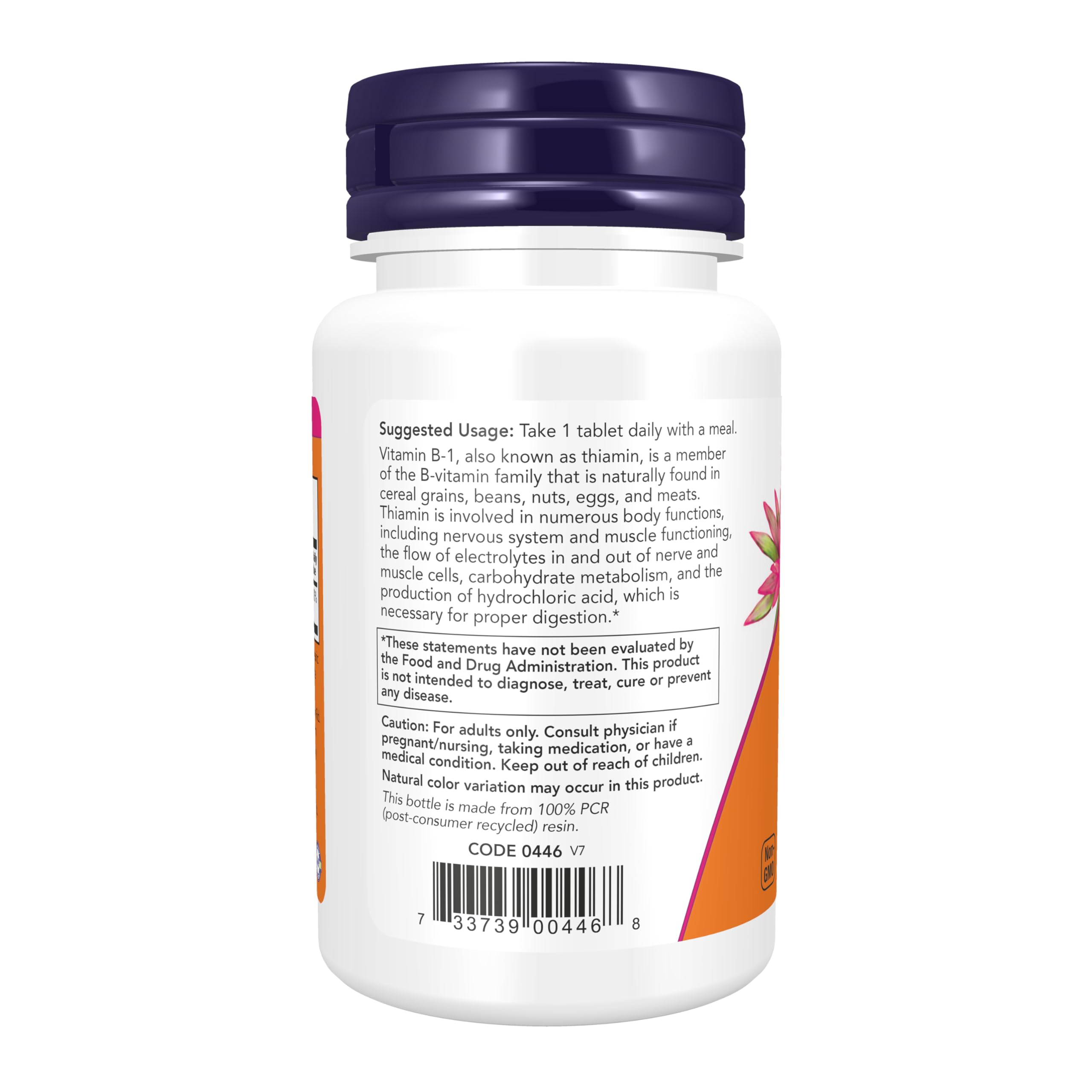 NOW Foods Vitamine B1 Thiamine 100 mg — emballage en pack de 2, format pratique pour routine quotidienne.
