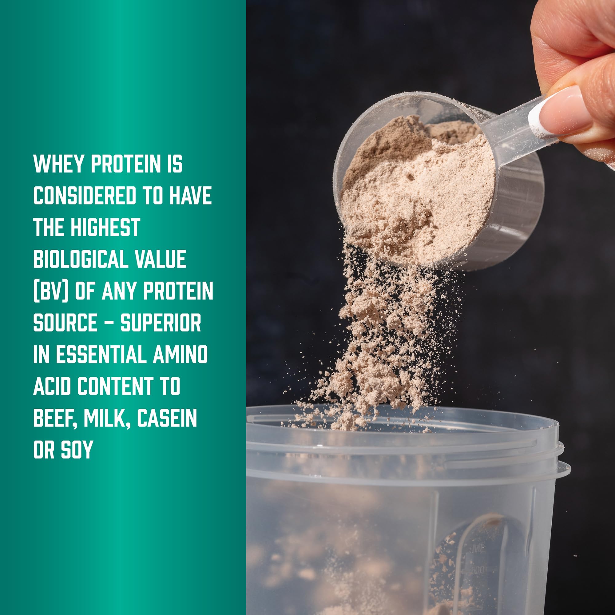 NOW Foods Whey Protein saveur Chocolat Crémeux, plaisir sensoriel qui motive à continuer.