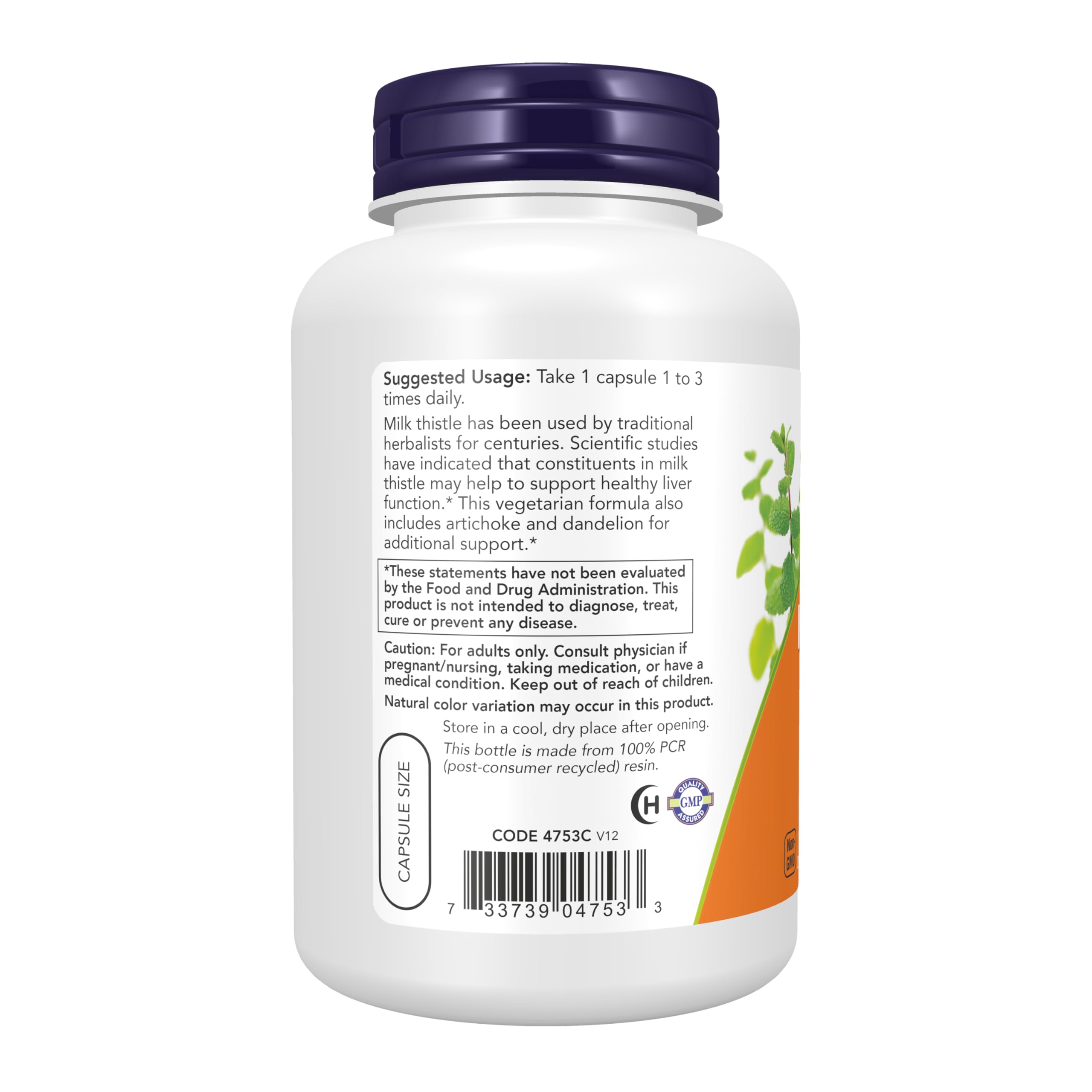 Gélules végétales NOW Foods Silymarine en portrait, usage quotidien potentiel
