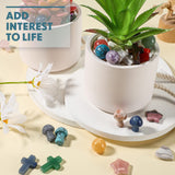 Nuenen pierres mix couleurs : assortiment varié pour personnaliser votre espace zen.