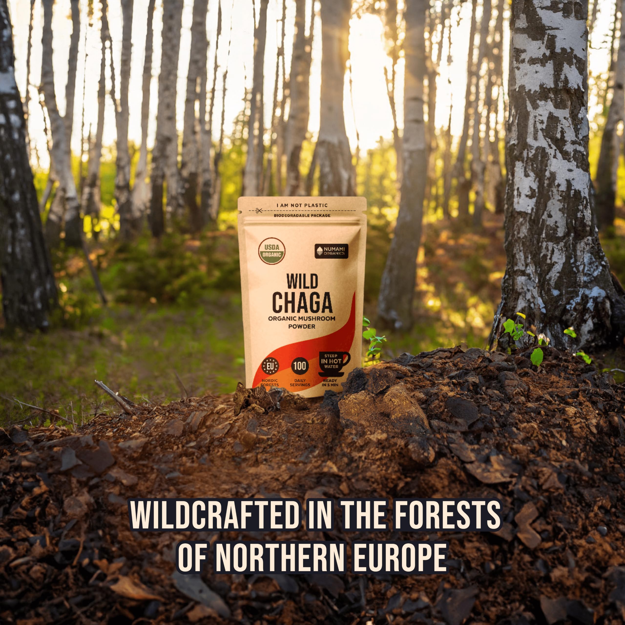 Numami Chaga - emballage biodégradable et compostable.
