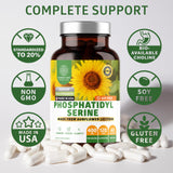 Number One Nutrition PS400mg - origine tournesol, douceur sensorielle et routine bien-être.