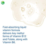 Composition B12 et folate Nutra BioGenesis – nutriments clés pour l'énergie quotidienne.