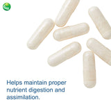 Nutra BioGenesis PanZyme – emballage pratique et notice explicative.