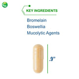 Nutra BioGenesis Pulmonary Factors – boswellia: extrait traditionnel pour le bien-être articulaire.
