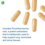 Nutra BioGenesis Pulmonary Factors – quercetine: antioxydant naturel et soutien global.