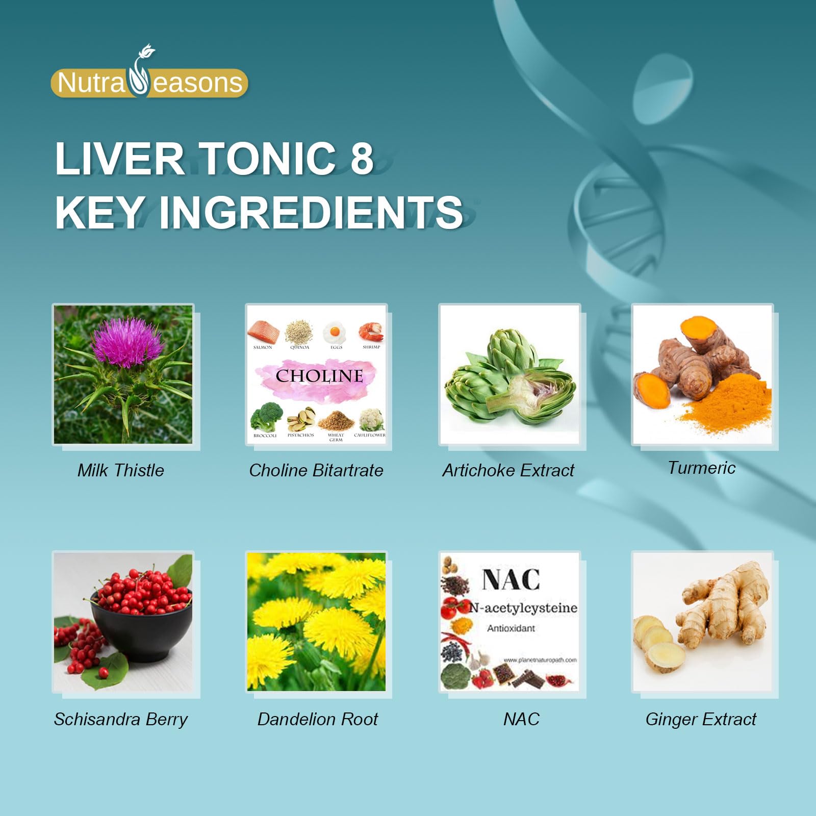 Nutra Seasons Liver Tonic – silymarine et chardon-Marie dans la formule.