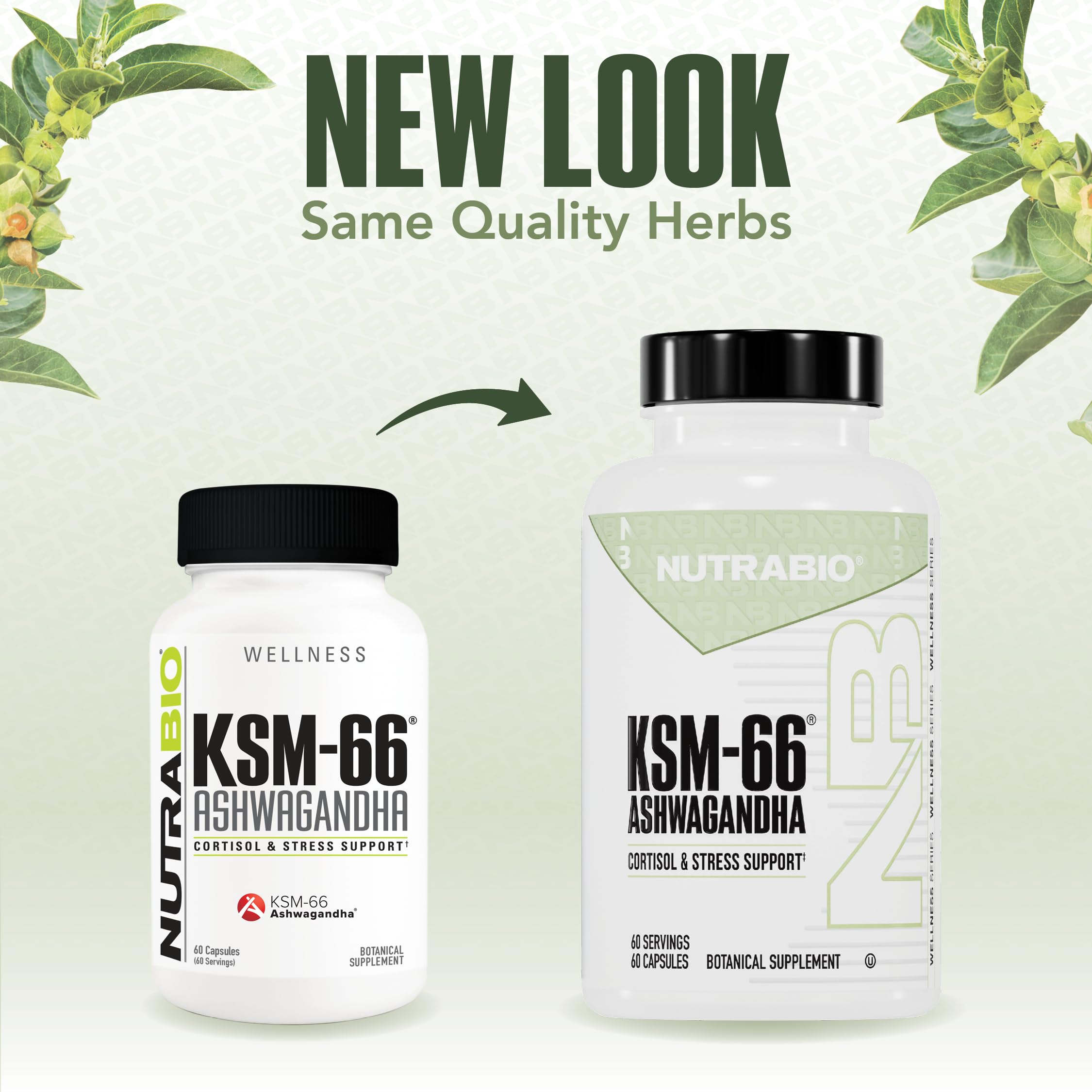 NutraBio Ashwagandha KSM-66 – bien-être et énergie potentielle au quotidien.