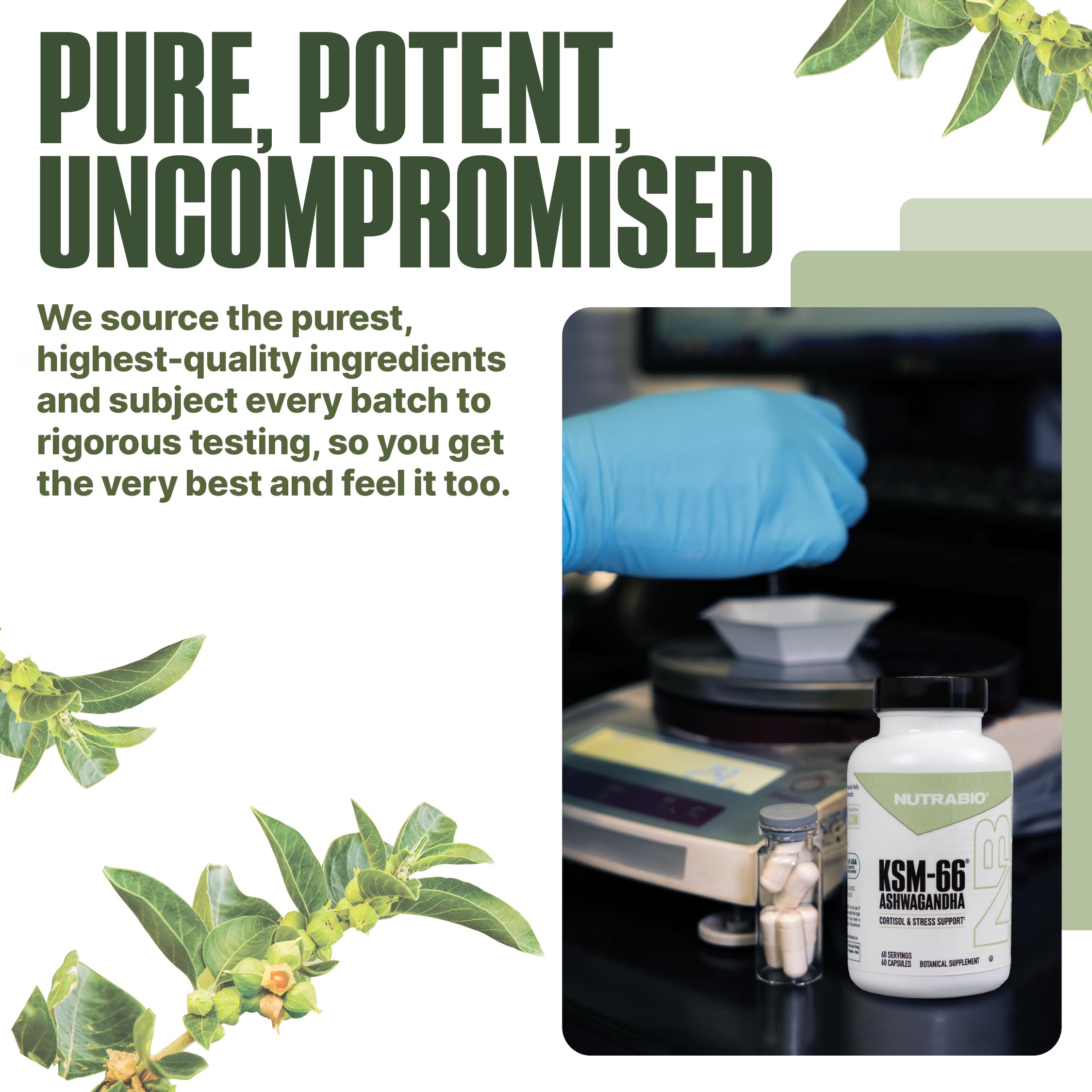 NutraBio Ashwagandha KSM-66 – fiche produit claire décrivant l’extrait KSM-66.
