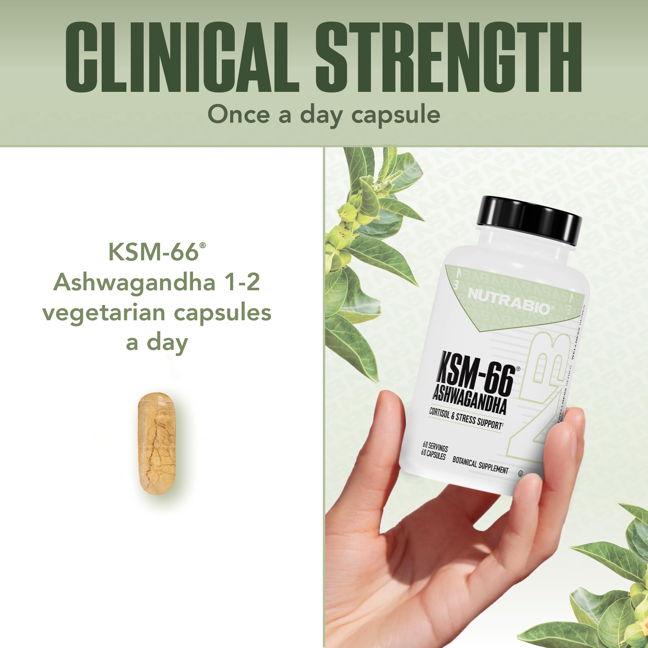 NutraBio Ashwagandha KSM-66 – prise quotidienne en contexte de routine saine.