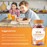 NutraChamps formulation végétale D3 zinc os – soutien potentiel pour vitalité et immunité