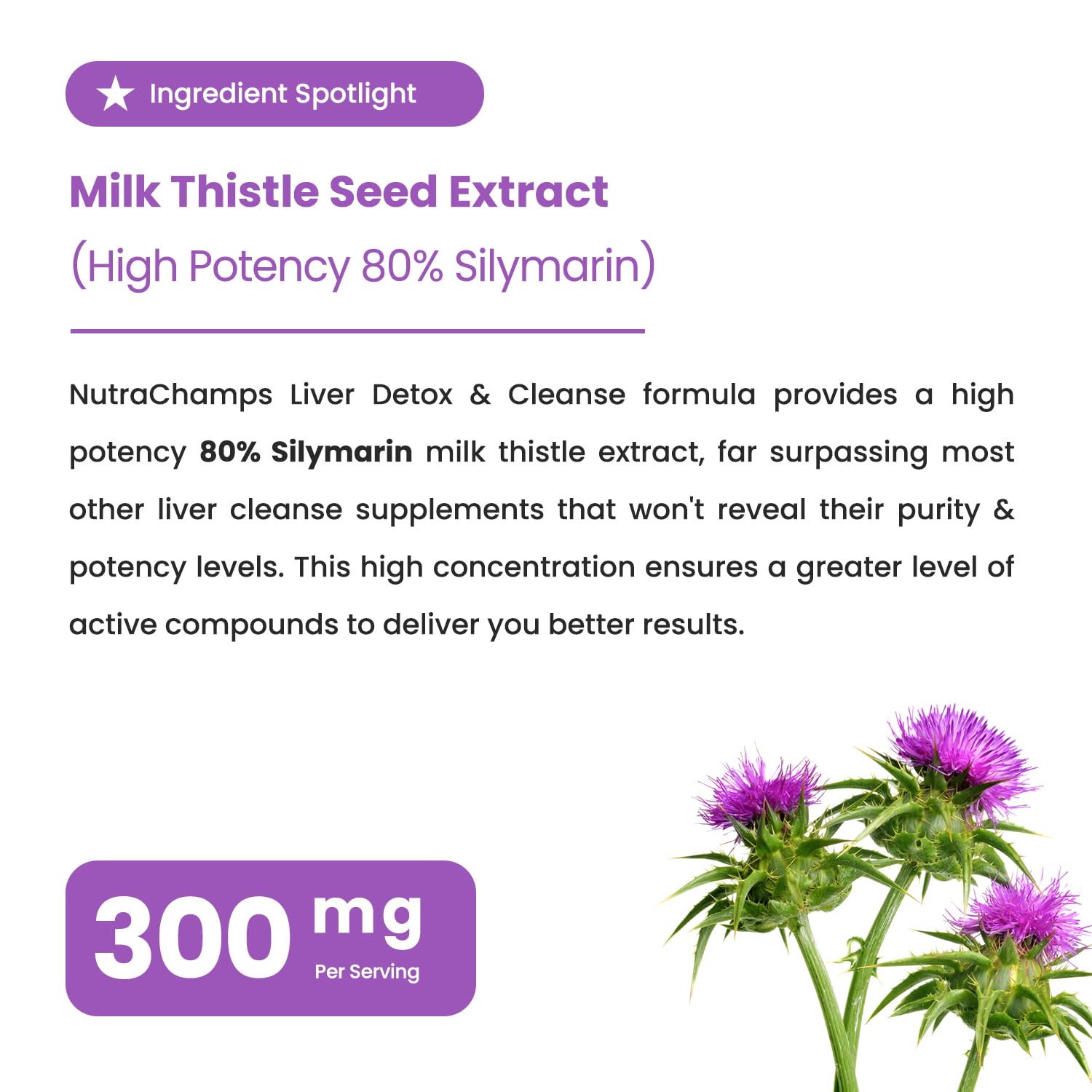 NutraChamps chardon-marie, extrait puissant pour la protection du foie.