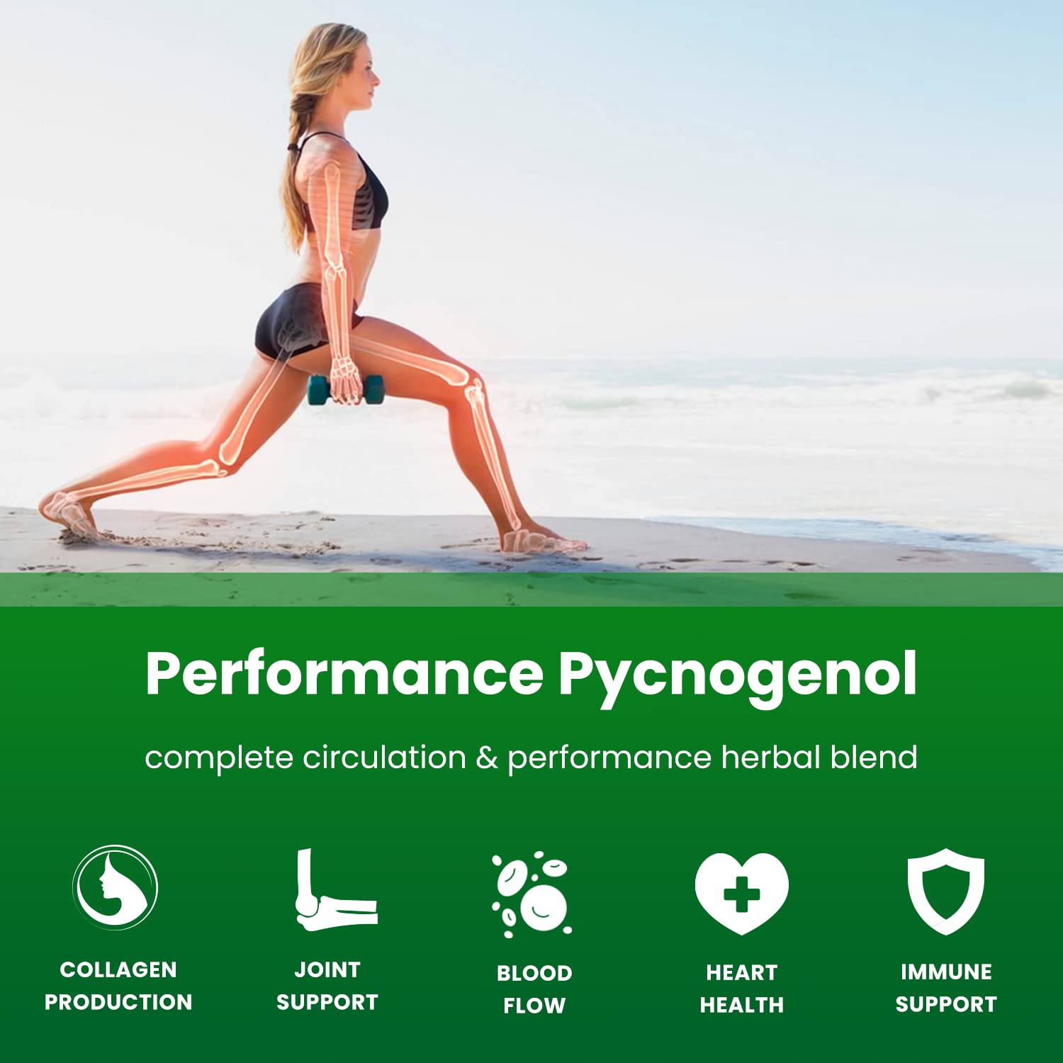 NutraChamps Pycnogenol: concentré de betterave lié à la circulation.